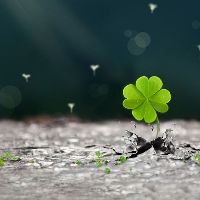 original sound - 90daygm01