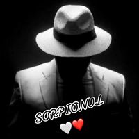 sorpionul.official