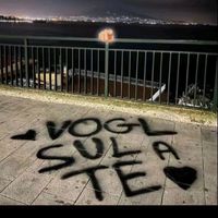 videostati_72
