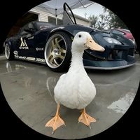 original sound