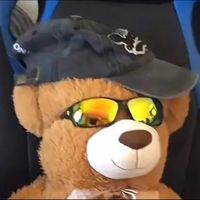 not_real_ted