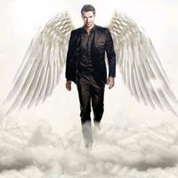 antonioterminetor1982