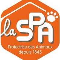 laspastgermaindupinel