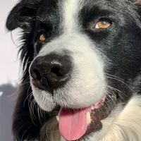 original sound - beaytres