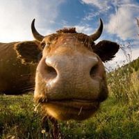 get you where you wanna go if you know what i mean