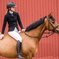 vnk.elfrida