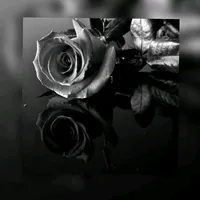 original sound - siyahbeyazaskofficial1