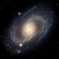 lamour de ma vie x kill bill