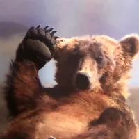 original sound - liyagpv