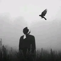 original sound - barbadafrdi2