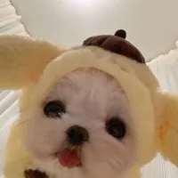 original sound - pwpmkaa