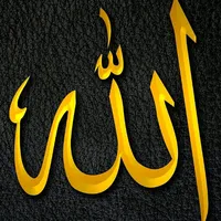 original sound - 11q.8r