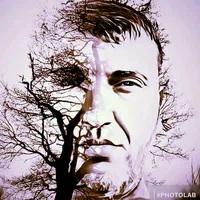 original sound - user46815581282715