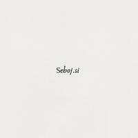 seboj.si