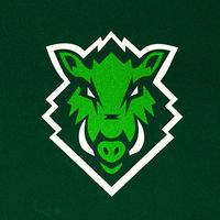 avellinoboars