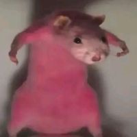 maha_65__