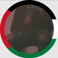nassibyt795