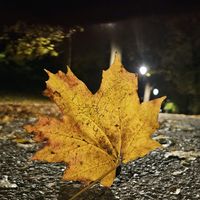 badzswoimprzyjacielem