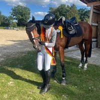 cc.equestrain