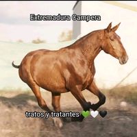 tratos_y_tratantes2025