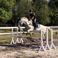 lenna.equest
