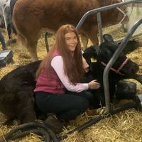 ailbhetarmey1