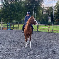 original sound - janehennigan