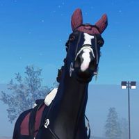 taegan_strideway