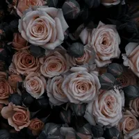 original sound - writeslilian_