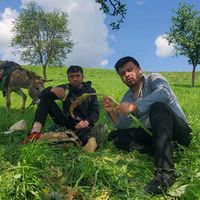 bares_umarov4
