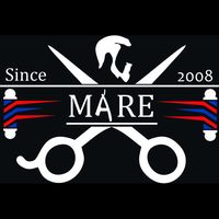 fs.mare2008