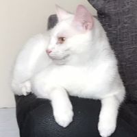 lisa_44_78