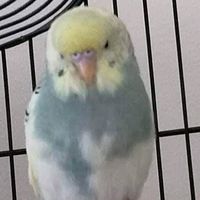 random_sh1t1212