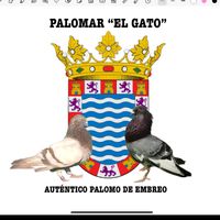 palomos_embreo_elgato