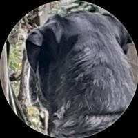 mit_mit2.0