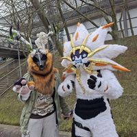 _zord_the_floof_