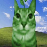spam_spammoso