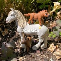 schl8ich