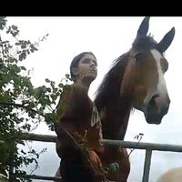 maya_equestrian2020