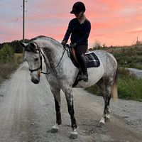 ebba.sundman