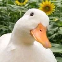 the_class_funny_guy