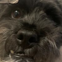 Were completely fucked