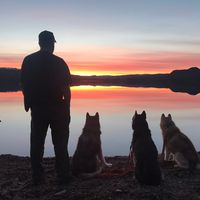 damos.dogs