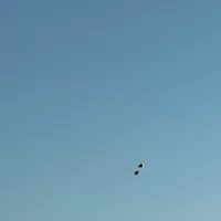 Breath