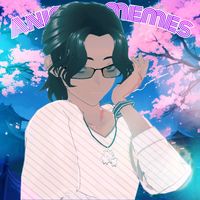 animusmemesyt