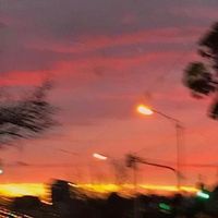 Bad habits steve lacey