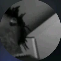 original sound - nba_freeze