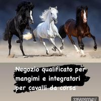 cerealcampaniagiudician5