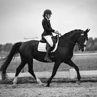 sisleyvdwindendressage