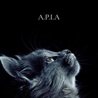 a.p.i.a.focus